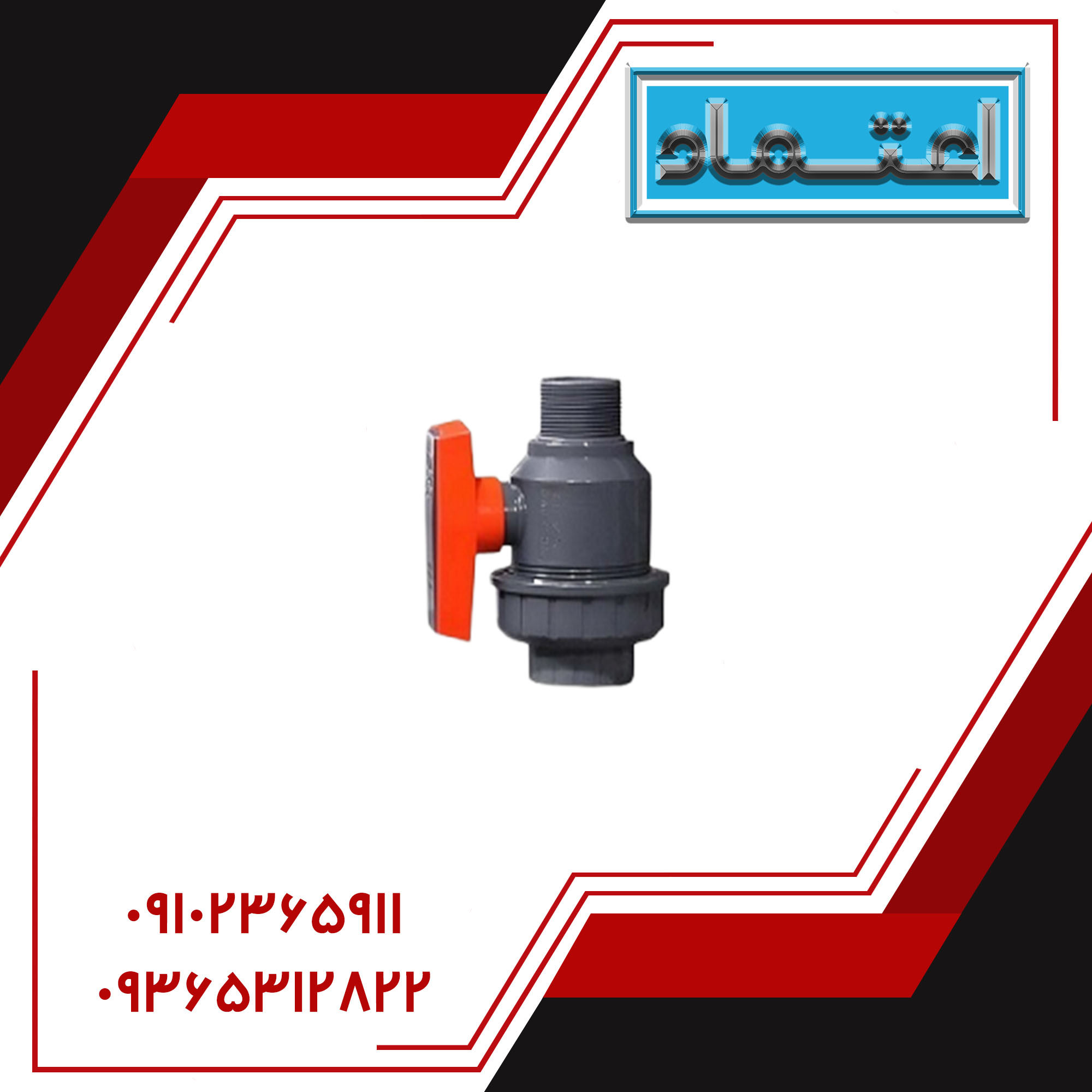 شیر یک سر مغزی